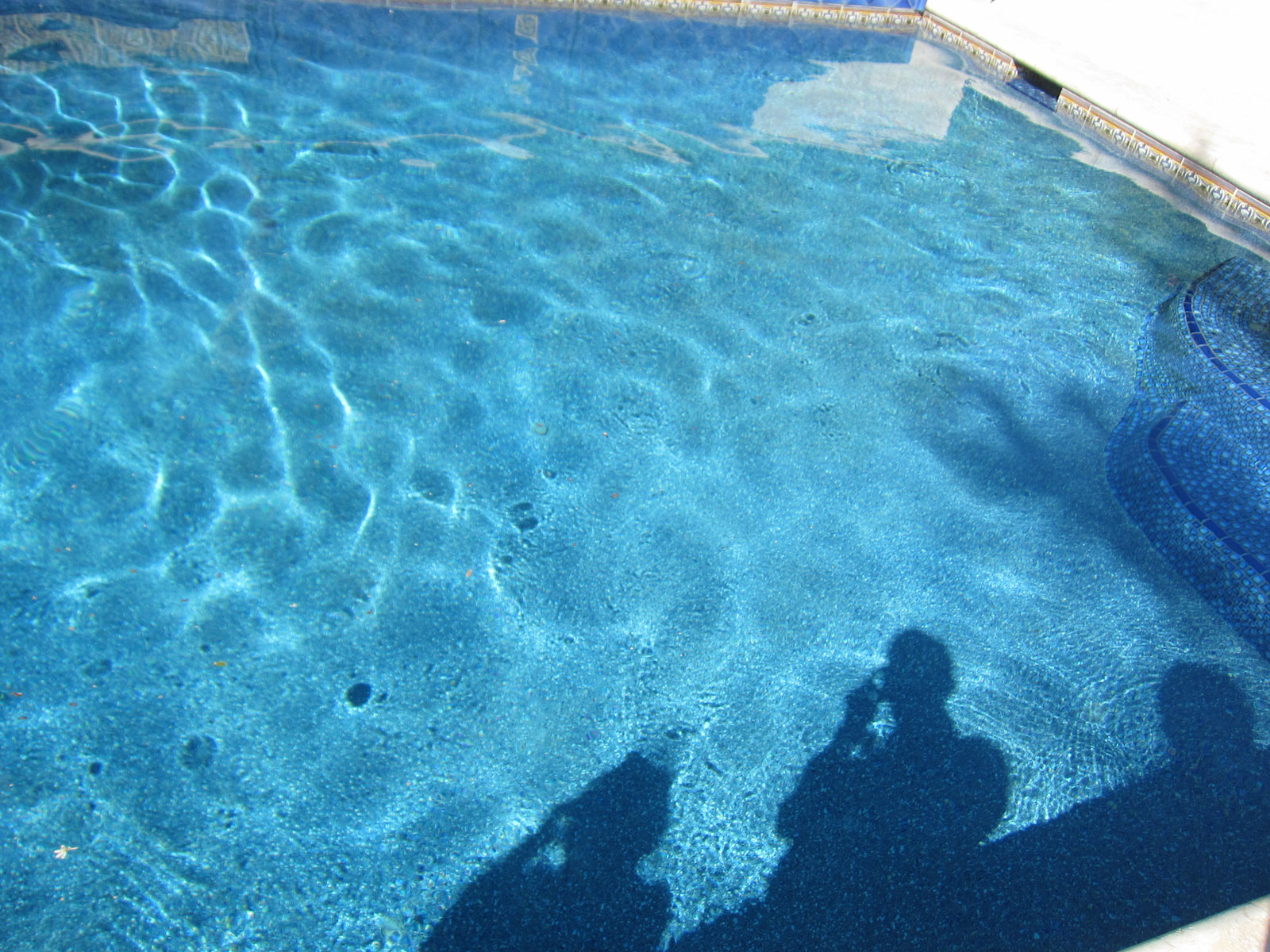 Grand Tour of Gardens 2013 (14)